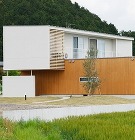 玄関脇の大きなオリ−ブの木 玄関脇の大きなオリ−ブの木