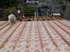 DSCN2417.jpg DSCN2417.jpg