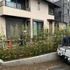施工中(12)マキの生垣植栽 施工中(12)マキの生垣植栽