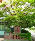 小樽市 坂牛邸 保存活動 小樽市 坂牛邸 保存活動