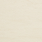 pdt_flr_clr_pr5598 pdt_flr_clr_pr5598