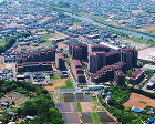 図版:検見川プロジェクト 図版:検見川プロジェクト
