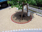 ecoglobe-002-026.jpg ecoglobe-002-026.jpg