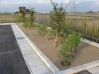 ecoglobe-002-027.jpg ecoglobe-002-027.jpg