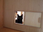 入り口に設置した猫用の引き戸 入り口に設置した猫用の引き戸