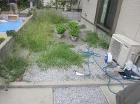施工前 雑草の駆除が大変でした 川越市 施工前 雑草の駆除が大変でした 川越市