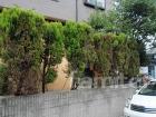 生垣・目隠しフェンスリフォーム施工例 生垣・目隠しフェンスリフォーム施工例