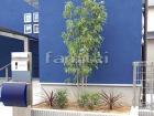 化粧ブロック花壇 ユニソン ジャスティ 植栽 シンボルツリー ホンコンエンシス 常緑樹 下草 化粧ブロック花壇 ユニソン ジャスティ 植栽 シンボルツリー ホンコンエンシス 常緑樹 下草