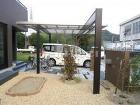 シンボルツリー ヤマボウシ 落葉樹 植栽 シンボルツリー ヤマボウシ 落葉樹 植栽