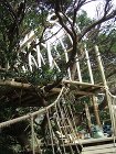 ツリーハウス制作 ツリーハウス制作