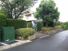 庭木の剪定 庭木の剪定