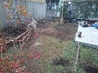 既存樹木の撤去等を行っていきます。 既存樹木の撤去等を行っていきます。