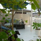 ワンちゃんと過ごす癒しのパーゴラ空間工事 ワンちゃんと過ごす癒しのパーゴラ空間工事