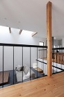 木が埋め尽くすスキップフロア構成のワンルーム空間の画像 木が埋め尽くすスキップフロア構成のワンルーム空間の画像