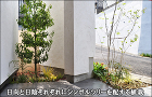 植栽の施工例 | 千葉県 東京都の造園 ... 日向と日陰それぞれにシンボルツリーの植栽...