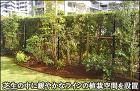マンション専用庭の芝生の中に植栽エリアを設置-足立区S様邸 マンション専用庭の芝生の中に植栽エリアを設置-足立区S様邸