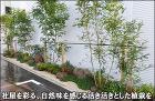 社屋前へ自然風な植栽群と庭石を-(株)東部フィールド様