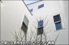 中庭へセットした大型プランターへヒメシャラを植栽-流山市W様邸 中庭へセットした大型プランターへヒメシャラを植栽-流山市W様邸