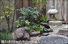坪庭とスモールガーデンの共存風景-世田谷区K様邸 坪庭とスモールガーデンの共存風景-世田谷区K様邸