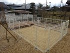 ワンちゃんが自由に遊べるドッグラン 大津市 ワンちゃんが自由に遊べるドッグラン 大津市