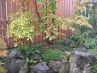 雨の日の情緒 雨の日の情緒