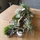 都島オープンハウス|グリーンプラスガーデン タマンサリの施工事例 都島オープンハウス|グリーンプラスガーデン タマンサリの施工事例