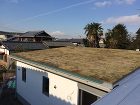 京田辺・草屋根の家 | green + ... 京田辺・草屋根の家｜グリーンプラスガーデ...