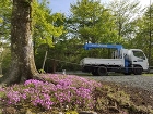 Ｙ邸　芝生管理他芝桜植栽