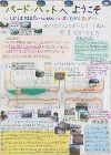 作品:バード・ハットへようこそ?しどうえきまえたいへいせんのいまとむかしマップ? 作品:バード・ハットへようこそ?しどうえきまえたいへいせんのいまとむかしマップ?