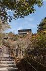 伊豆の国市の崖地の家 米村和夫建築アトリ... 傾斜地を生かした庭