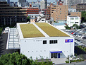 屋根緑化施工例｜日本地工 工場 折板屋根緑化