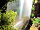 和風庭園を壁に・・。壁面緑化エントランス... IMG_00191