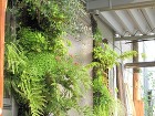 和風庭園を壁に・・。壁面緑化エントランス... IMG_0013