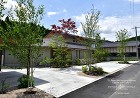 雑木の庭シンプル 雑木の庭シンプル