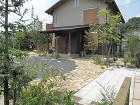 IMG_1717 IMG_1717