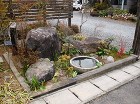 見本庭園 見本庭園