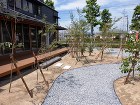 展示場植栽 展示場植栽