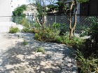 石を組み立体的に表現した店舗前の植栽 郡山市H店様 石を組み立体的に表現した店舗前の植栽 郡山市H店様