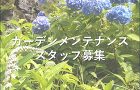 スタッフ募集のご案内 スタッフ募集のご案内