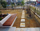 芝生の中に埋められた40センチ角の天然石の平板。春にはもっと美しい色相いに変わります。 芝生の中に埋められた40センチ角の天然石の平板。春にはもっと美しい色相いに変わります。