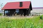 杉とレンガのナチュラルで健康的な「羊蹄山... 赤い板金屋根と黒い縦板張り外壁の家