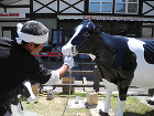 かぶちゃん遊牧館-036 かぶちゃん遊牧館-036