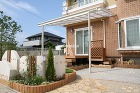 樹の木? テラス 植栽 樹の木? テラス 植栽
