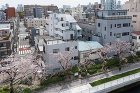 ベイウインドウ 清澄白河 ベイウインドウ 清澄白河
