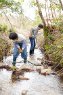 裏庭に流れる川で魚捕りをするご兄妹 裏庭に流れる川で魚捕りをするご兄妹