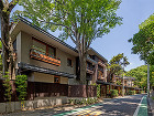 亀甲新 亀甲新