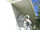 害虫除去施工事例 歯科医院の害虫対策 害虫除去施工事例 歯科医院の害虫対策