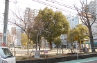 057 057