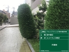 施工例大阪の工事お任せ下さい。 コニファ... EKRD1766