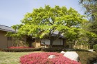 平尾緑地　松風園